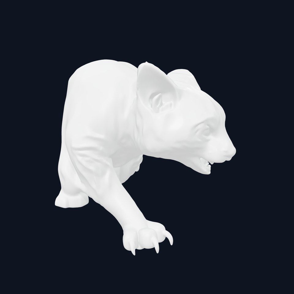 Realistic Wild Cat Model Pack for Animation and Interactive Environments